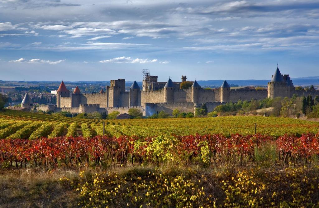 Bed & Breakfast Demeure Du Pareur Villeneuve-Minervois エクステリア 写真